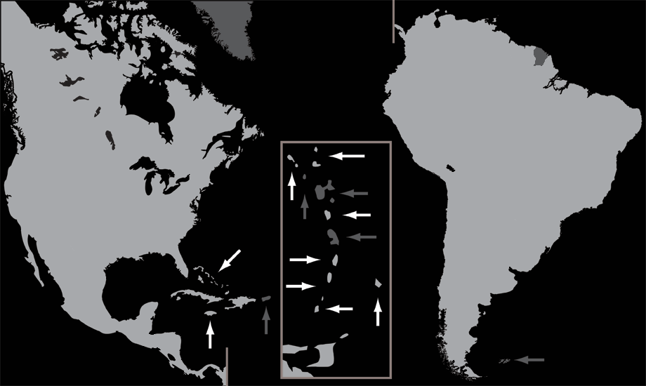 Erase America by Capital (No Outlines) Quiz By goc3